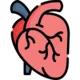 Cardiology