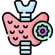 Endocrinology
