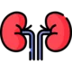 Nephrology