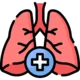 Chest