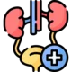 Urology